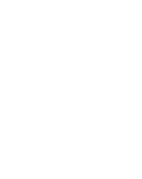 Wiesiołek dwuletni - przyczynia się do prawidłowego metabolizmu i funkcjonowania układu hormonalnego